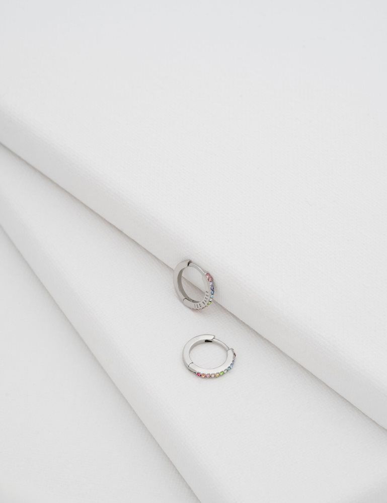 Ted Baker Heplie - Crystal Huggie Hoop Earrings Argent | 037485-QZP