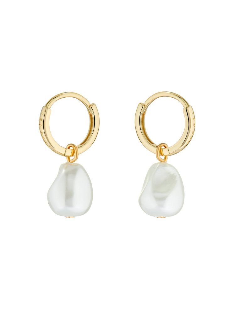 Ted Baker Periaa - Pearl Drop Pendant Huggie Earrings Doré | 735802-KMY
